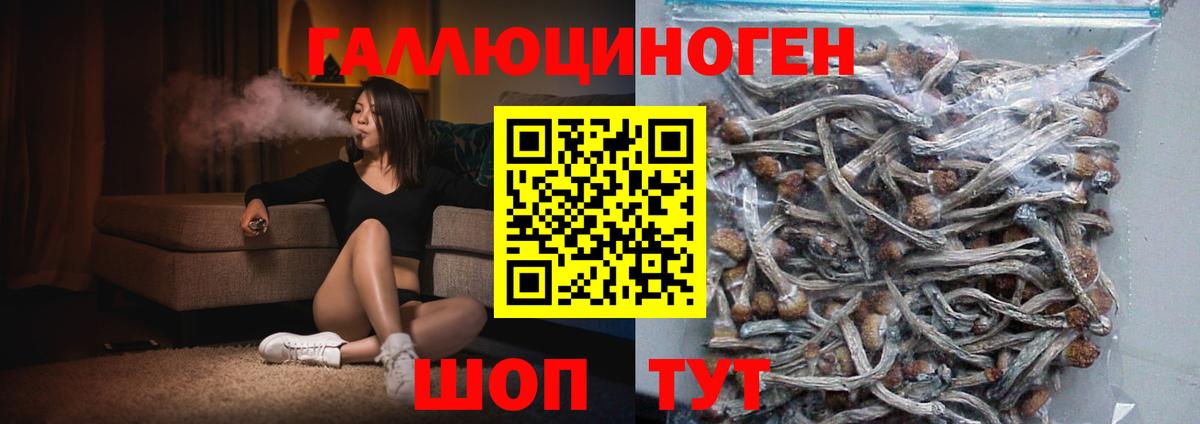 Псилоцибиновые грибы мухоморы Заволжье