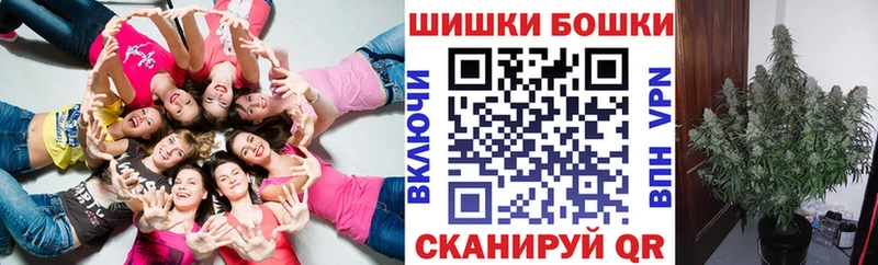 где купить наркотик  Заволжье  Каннабис ГИДРОПОН 