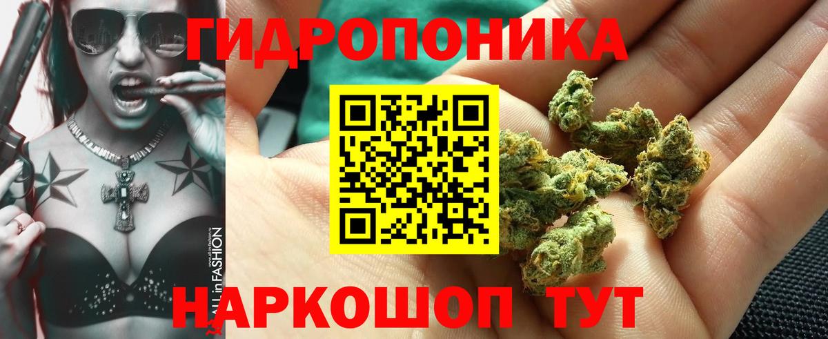 Бошки марихуана сатива Заволжье
